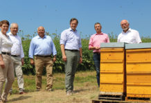 Landwirtschaft & Imkerei: Von dieser Partnerschaft sollen alle profitieren