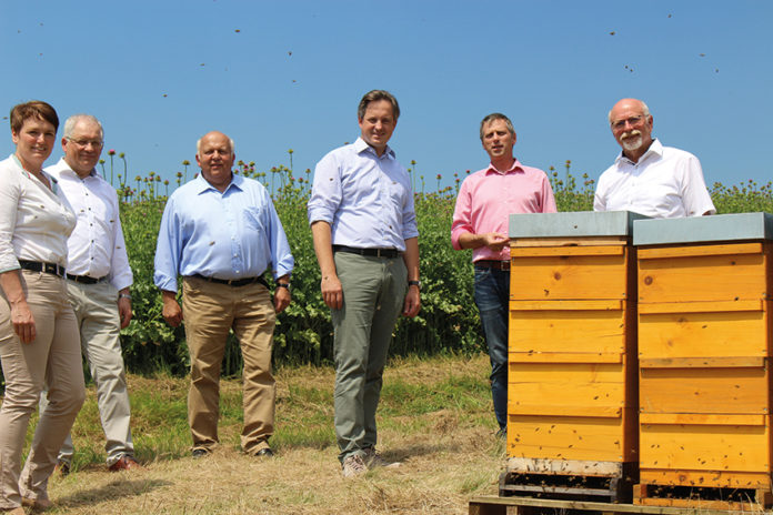 Bienen und Landwirtschaft