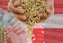 Marktberichte aus Niederösterreich