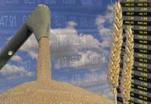 Donaubörse 2020 abgesagt