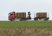 Salzburg: Forstwirtschaft mit voraussichtlich 13,8 Mio. Euro Schaden im Jahr 2019