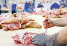 Corona bringt deutsche Schlachthöfe in Zugzwang