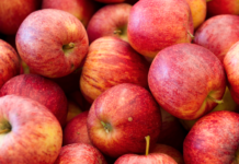 AMA: Großhandelspreise für Tafeläpfel weiterhin zufriedenstellend