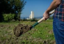 Lagerhaus-Programm „Zukunft Erde“ fördert heimischen Humusaufbau
