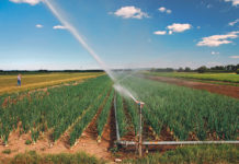 Mit Beregnung Trockenzeiten überstehen