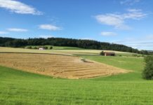 Ausgeglichenes Wetter, solide Erträge: 2020 ein Jahr des guten Durchschnitts