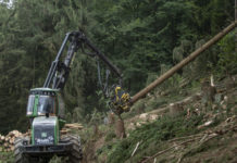 ÖWAV-Seminar “Forstrecht in der Praxis” am 19. November 2020 in Wien