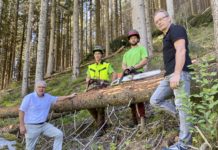 Appell an Holzindustrie für mehr heimisches Holz Abg. z. NR Hermann Gahr mit Arbeitern des Maschinenrings und Landtagsabgeordneten und Maschinenring-Osttirol-Geschäftsführer LAbg. Martin Mayerl.