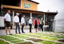 „Zugang zu bäuerlichen Produkten verstärken“