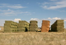 Boku: Methode zur simultanen Analyse von 1.400 Schadstoffen entwickelt