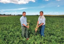 „Besser Rüben vor Ort statt langem Transport“