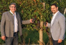 NÖ Weinbauverband fordert faire Traubenpreise