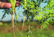 Dem Boden Druck nehmen