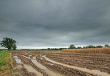 Bodenverdichtungen vermeiden