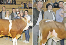 RZO: Top-Züchter auch bei schwieriger Wirtschaftslage