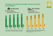 Umsatz mit Bio-Lebensmitteln in Österreich wächst und wächst