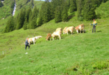 Biobauer ist man aus Überzeugung
