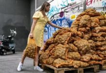 „Too Good To Go“ – zwei Tonnen Erdäpfel „gerettet“