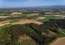 Agroforstwirtschaft im Aufschwung