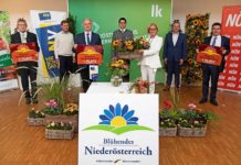 Blühendste Gemeinden Niederösterreichs gekürt