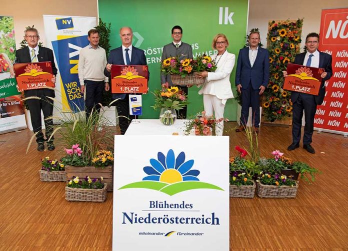 Foto Blühendes NÖ Landessieger