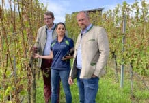 Lokalaugenschein in der Wachau