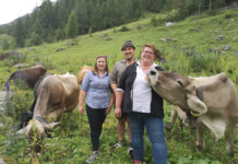 Ein Almsommer wie aus dem Bilderbuch