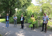 Land setzt 180.000 Euro für Kampf gegen Neophyten ein