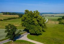 AMA informiert über Umgang mit ÖPUL-Landschaftselementen 2021