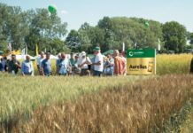 Saatbau Linz trotzt der Corona-Krise