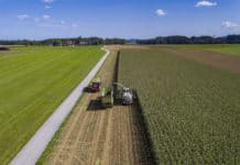 Was mehr Regionales im Regal bewirkt