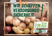 Staatsziel Versorgungssicherheit: 87 Prozent für Aufnahme in Verfassung