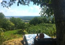 Urlaub am Bauernhof zufrieden mit Sommersaison