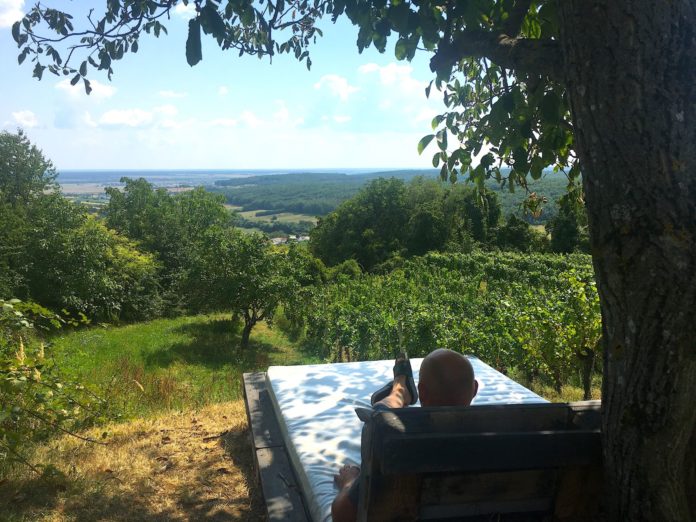 Urlaub Am Bauernho In Den Reben Kl