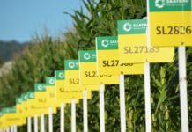 Saatbau Linz – starke Genetik, hoher Umsatz