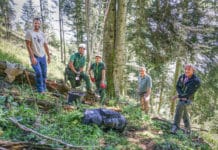 Der lange Weg vom Zapfen bis zum Setzling