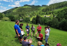 Grünland: Einsaaten brauchen Kalk