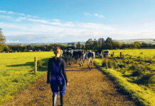 Landjugend hilft bei Praktikumssuche