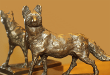 “Bio-Fuchs” 2020: Bio Austria sucht die besten Ideen rund um Biodiversität