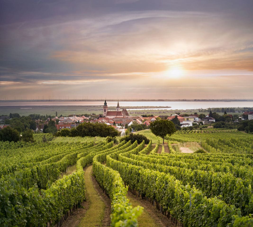 OeWM Marcus Wiesner Bgl Rust Plachen Jpg