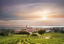 Neuer Herkunftsschutz für Süßweine vom Neusiedler See