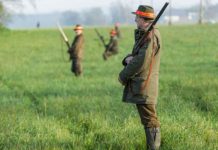 Covid-19 fordert auch die Jägerinnen und Jäger