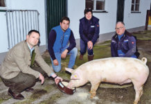 Pandemie hat bittere Folgen für viele Bauern