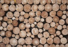 Forstwirtschaft 2020: Weniger Schadholz, aber schlechte Holzpreise