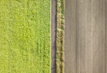 Agrarjuristen sehen bäuerliche Produktion bedroht