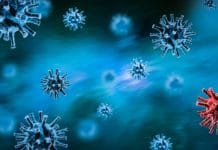 Fachmessen “EuroTier” und “EnergyDecentral” finden 2021 digital statt