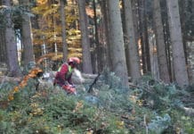 Waldbauern: Keine rosige Zeit