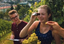 Online-Info-Tage an Höherer Weinbauschule