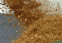 Abtransport aus dem Wald wird auf 44 Tonnen erhöht