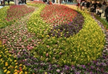 Internationale Grüne Woche 2021 ausschließlich digital